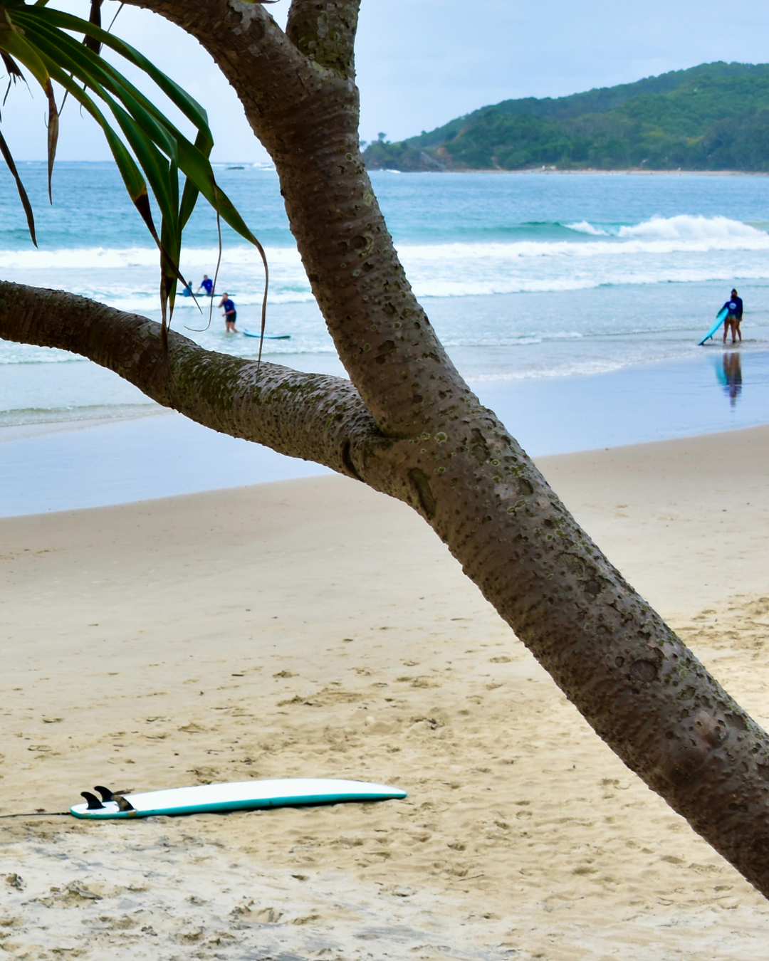 Byron Bay & Surrounds Canvas Art