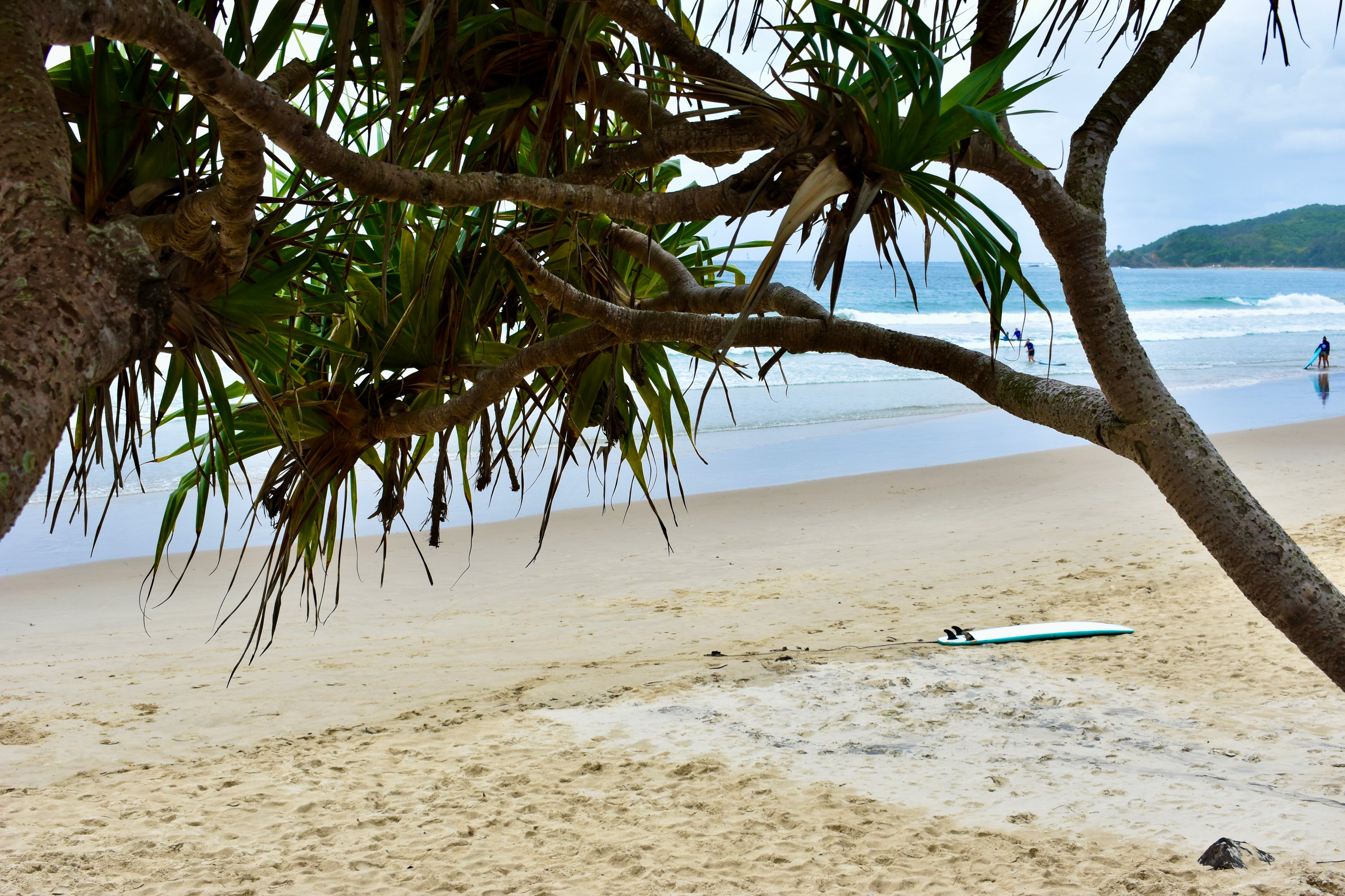 Byron Main Beach Pandanus Surfboard Downloadable Print