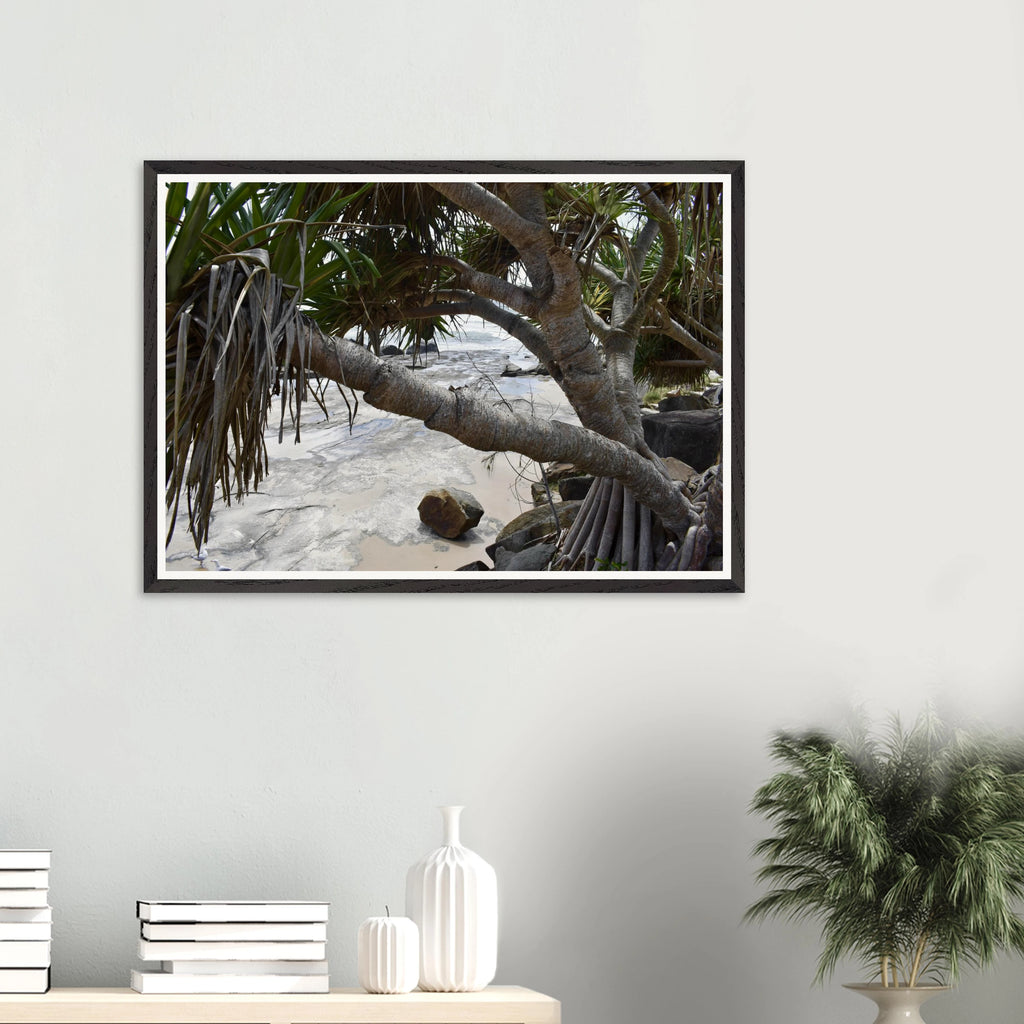 Yamba Pandanus Whitewash Wall Art with Premium Wooden Frame