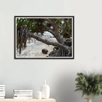 Yamba Pandanus Whitewash Wall Art with Premium Wooden Frame
