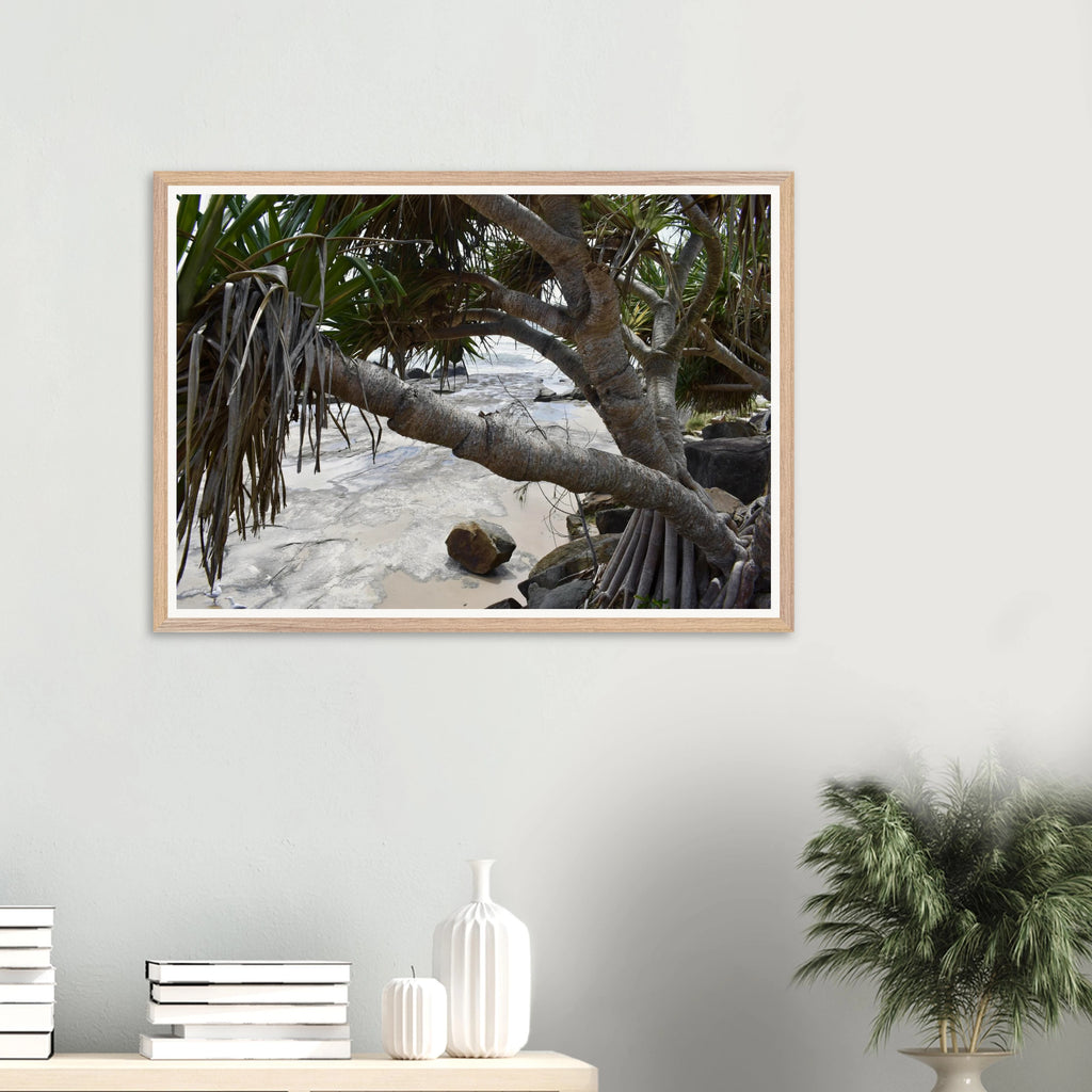 Yamba Pandanus Whitewash Wall Art with Premium Wooden Frame
