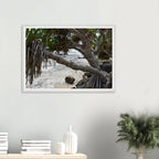 Yamba Pandanus Whitewash Wall Art with Premium Wooden Frame