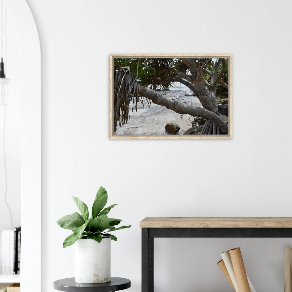 Yamba Pandanus Whitewash: Framed Canvas