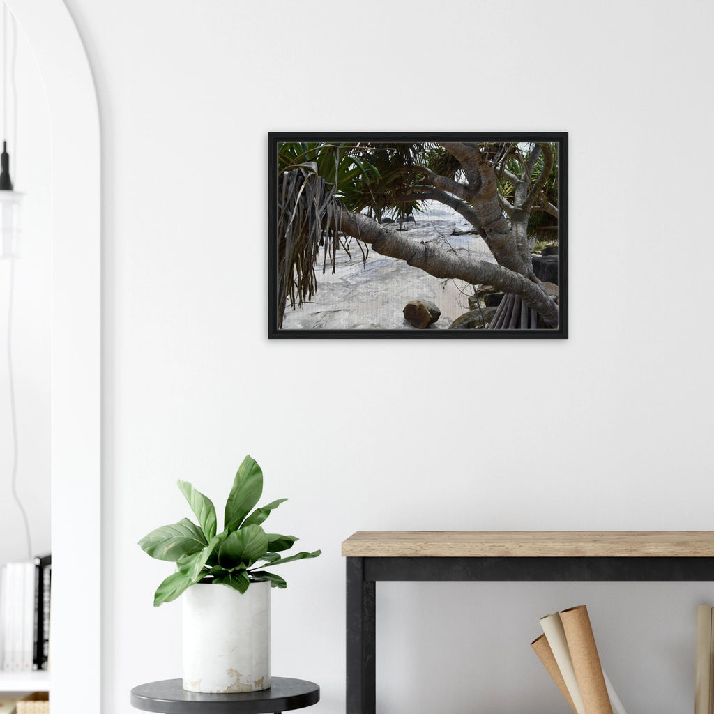 Yamba Pandanus Whitewash: Framed Canvas