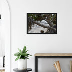 Yamba Pandanus Whitewash: Framed Canvas