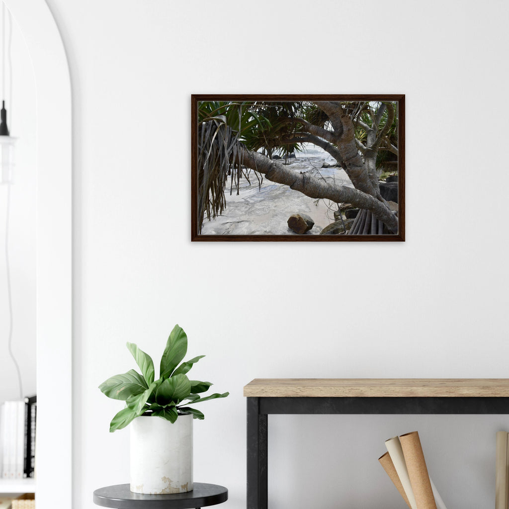 Yamba Pandanus Whitewash: Framed Canvas