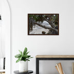 Yamba Pandanus Whitewash: Framed Canvas